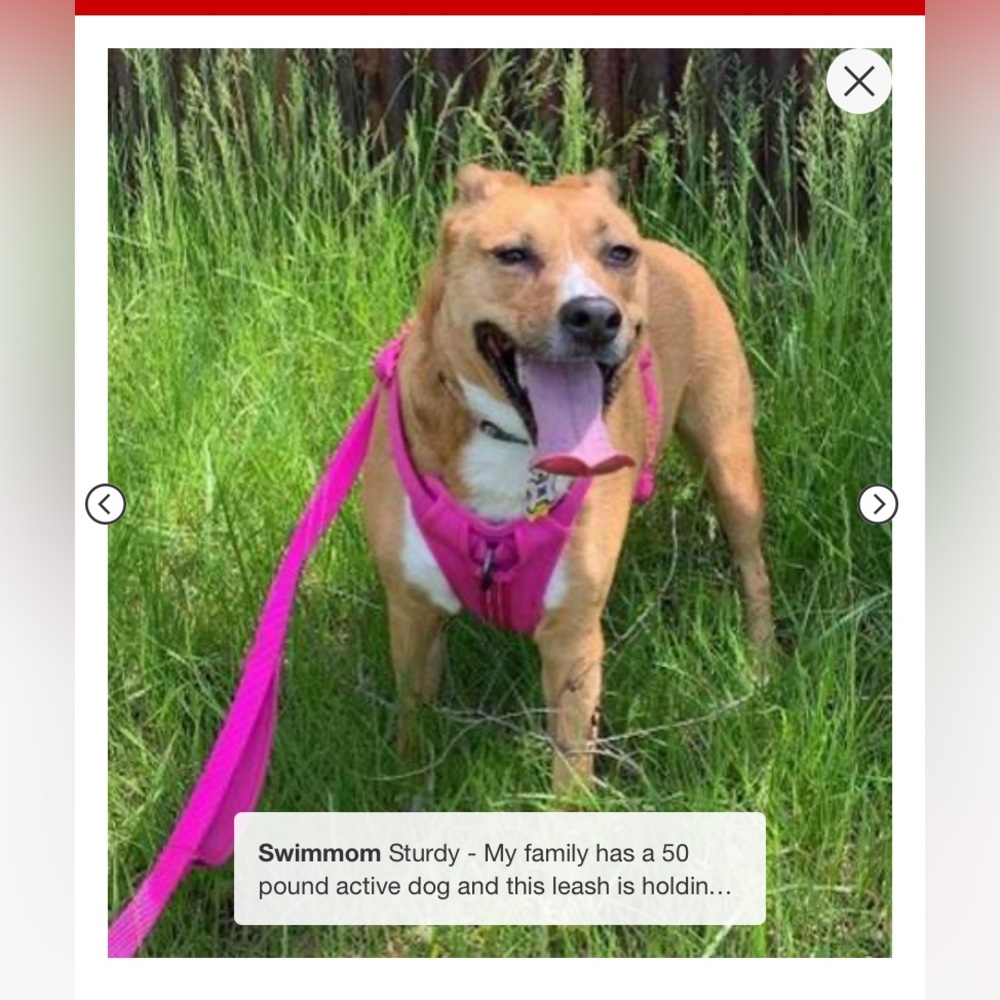 Comfort Reflective Double Stitch Dog Leash - Boots & Barkley PINK